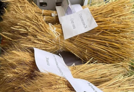 ТҮРКІСТАН: Ордабасыда 7,7 млрд. теңгенің өнімі өндірілген