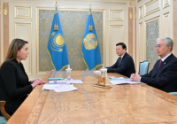Президент «Қазақстан халқына» қоғамдық қорының басқарма төрайымы Ләззат Шыңғысбаеваны қабылдады
