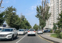 ​Қазақстанда автокөлікті мемлекеттік нөмірімен бірге сату мүмкіндігі беріледі