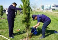 Түркістанда өткен жалпықалалық сенбілікке 2 мыңға жуық адам қатысты