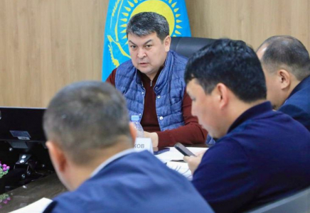 ТҮРКІСТАН: Шегірткеге қарсы химиялық өңдеу жұмыстары қарқын алды