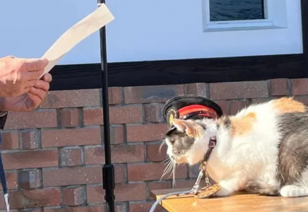 Жапонияда мысық вокзал басшысы болып тағайындалды