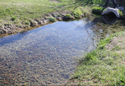 «Мөлдір бұлақ» республикалық экологиялық акциясы: мыңдаған қазақстандық бұлақтарды тазартуға шықты