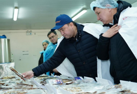 ТҮРКІСТАН: Шардарада балық және жүгері шаруашылығы дами түседі