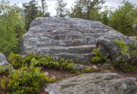 Абай облысында жоғалған шетел азаматының мәйіті табылды