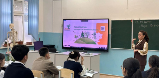 ​Жастар экологияны қолдайды: Шымкентте «Таза Қазақстан» акциясы жалғасуда