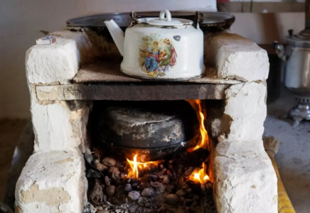 Көкшетауда анасы мен екі бала ысқа уланып қалды