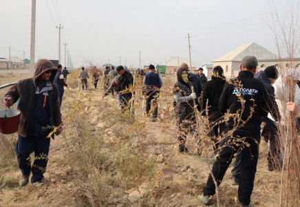 ТҮРКІСТАН: Сауран ауданында 5000 түп көшет отырғызылды