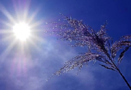 +46°С-қа дейін ыстық: 