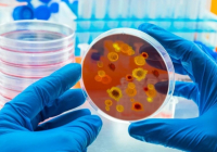 ​Еуропада қауіпті инфекция тарап жатыр