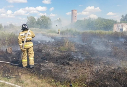 Ақмола облысында 195 гектар алқапты шарпыған ірі өрт сөндірілді