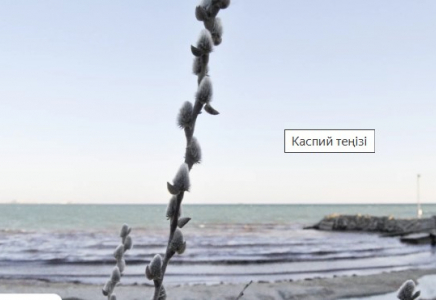 Каспий теңізі акваториясының тартылған аумағы 16 мың шаршы шақырымнан асты