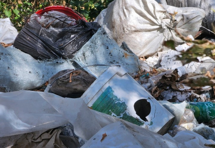 Алматылық оқушы қоршаған ортаға зияны жоқ биопакет ойлап тапты