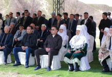 Шымкентте «Мөлдір бұлақ» экологиялық акциясы өтті