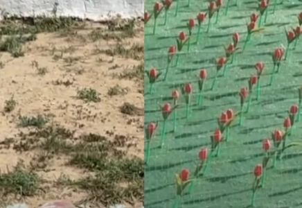 Ақтауда 15 миллионға орнатылған жасанды қызғалдақ алқабының орны қаңырап бос қалды