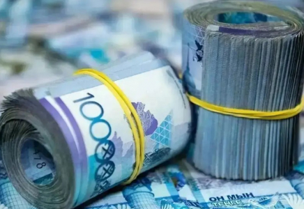 Қазақстанда бір компания он жыл ішінде мемлекеттен 17 млрд теңге көмек алған