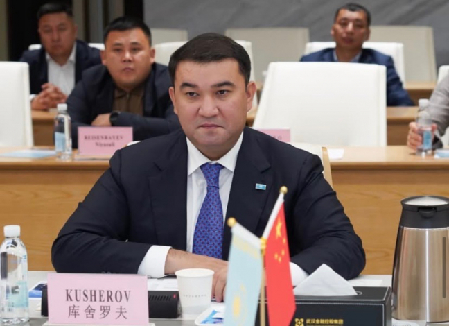 Түркістан облысы мен Wuhan Financial Holdings арасында әріптестік мәселелер талқыланды
