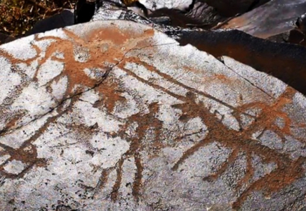 Алматы облысында Іле өзенінің әсем жағалауында жаңа туристік кластерді дамытуға бағытталған ауқымды жоба іске қосылды