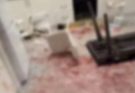 Алматыда үй иесі қып-қызыл қанға боялған пәтерін клининг шақырып, тазартпақ болған (ВИДЕО)