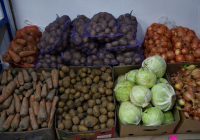 ТҮРКІСТАН: Отырарда әлеуметтік дүкен ашылды