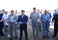 Арал ауданында түйе сүтінен құрғақ ұнтақ шығаратын зауыт іске қосылды
