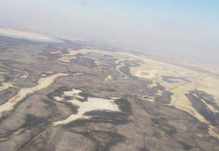 Алматы облысының орман алқабындағы өрт ошағының басым бөлігі сөндірілді 