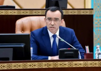 Сенат төрағасы бизнесті қолдауға арналған бағдарламаларды жүйелеуді ұсынды