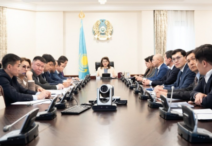 Үкіметте Туризм саласын дамыту мәселелері жөніндегі үйлестіру кеңесінің алғашқы отырысы өтті