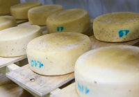 ​Ирандық компания Қазақстанда ірімшік пен балалар тағамын өндіреді