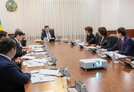 Премьер-министр денсаулық сақтау саласын цифрландыру және қаржылық тәртіп мәселесі бойынша кеңес өткізді