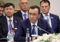 Қазақстан Құрылтай сайлауына ТМД Парламентаралық Ассамблеясының бақылаушыларын шақырды