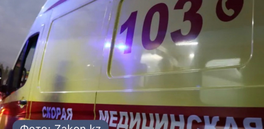 Ақтөбеде жылан шаққан 16 жастағы жасөспірім жансақтау бөліміне түсті