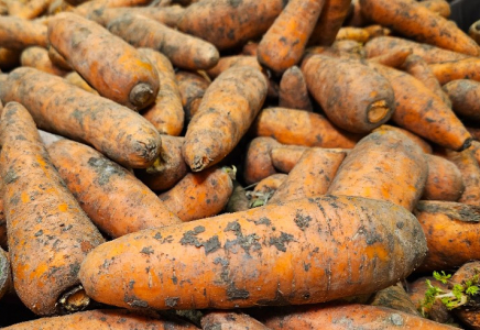 Қазақстанда сәбізді экспорттауға тыйым салынады