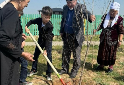 ТҮРКІСТАН: Сарыағаштық әжелер немерелерімен бірге ағаш екті