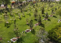 Түркістанда «Таза Қазақстан» аллеясы ашылды