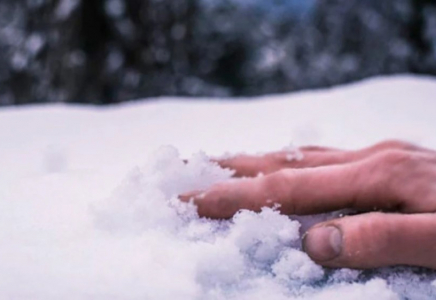 Ақмолалық ер адам өз ауласынан өлі күйінде табылды