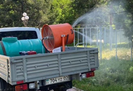 Түркістанда шіркейге қарсы дәрілеу жұмысы жүргізілді