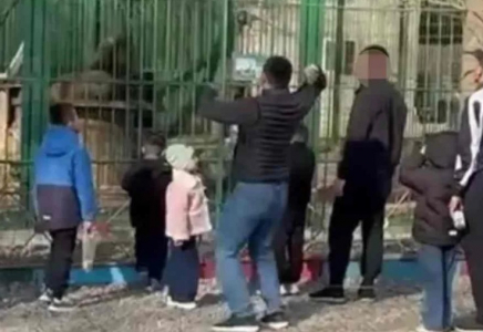 Семейде арыстандарға тас лақтырған ер адамдар табылды