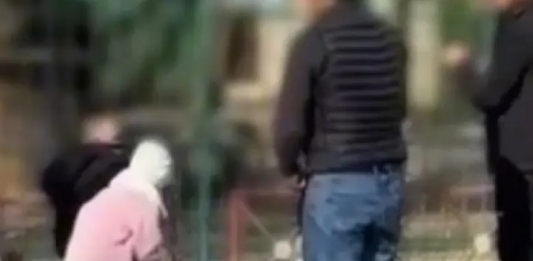 Семейде ересектер балалардың көзінше арыстандардың торына тас лақтырған