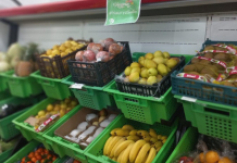 Түркістанда «Nauryz Sale» мерекелік акциясы басталды