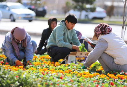 Түркістанда абаттандыру, гүл егу жұмыстары қарқын алды