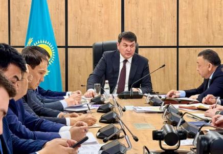 ТҮРКІСТАН: «Ауыл аманаты» арқылы 749 жоба қаржыландырылады