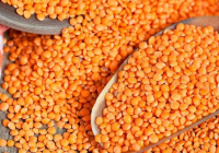 Қазақстан жасымық экспорты бойынша әлемдік нарықта алдыңғы қатарға шықты