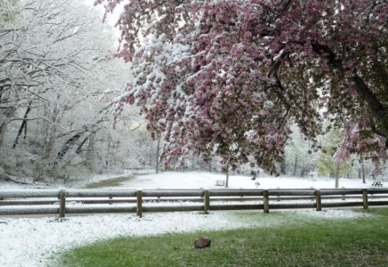 Қазақстанда алдағы демалыс күндері қар жауады