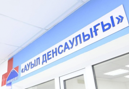 Ауылдық денсаулық сақтау: 646 жаңа бастапқы медицина нысаны салынды