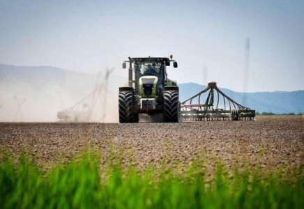 Алматы облысында 437,9 мың гектар жерге ауыл шаруашылығы дақылдары егіледі