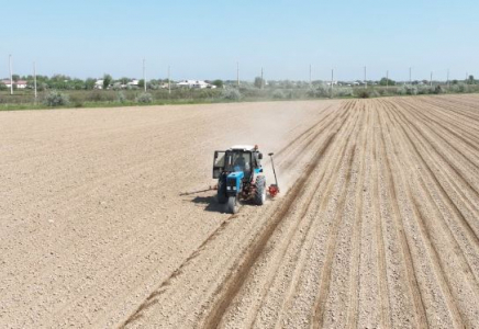 ТҮРКІСТАН: Мақтааралда мақта егу науқаны басталды