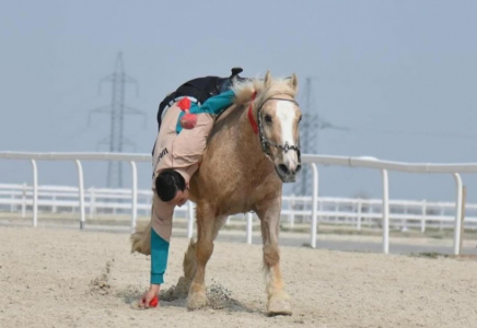 ​ШЫМКЕНТТЕ НАУРЫЗНАМА ОНКҮНДІГІ АЯСЫНДА ҰЛТТЫҚ СПОРТ ТҮРЛЕРІНЕН САЙЫСТАР ӨТТІ