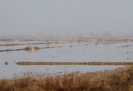ТҮРКІСТАН: Мақтааралда қысқы сор шаю жұмыстары қарқынды жүргізіліп жатыр