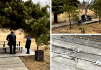 Астанада саябақта балалардың көзінше үйрек сойған ер адам жұртты шошытты